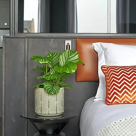 호텔 Malmaison 4*